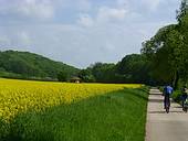 Radtour durch die Rapsfelder © Landkreis Göttingen, Fotografin: Sissi Karnehm-Wolf