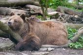 Bärenpark Worbis © HVE Eichsfeld Touristik e.V.
